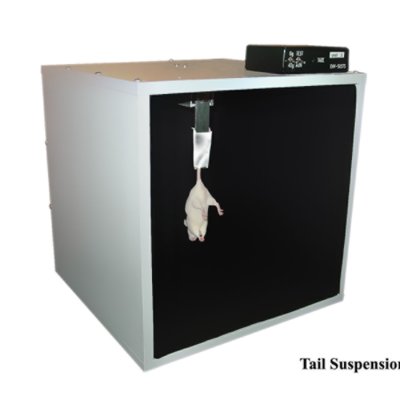Tail Suspension Test